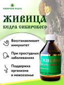 Живица сибирского кедра 10% (утренняя)